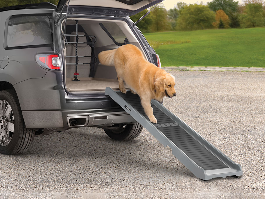 Best Ramps for Cars for Dogs: 2025 Guide