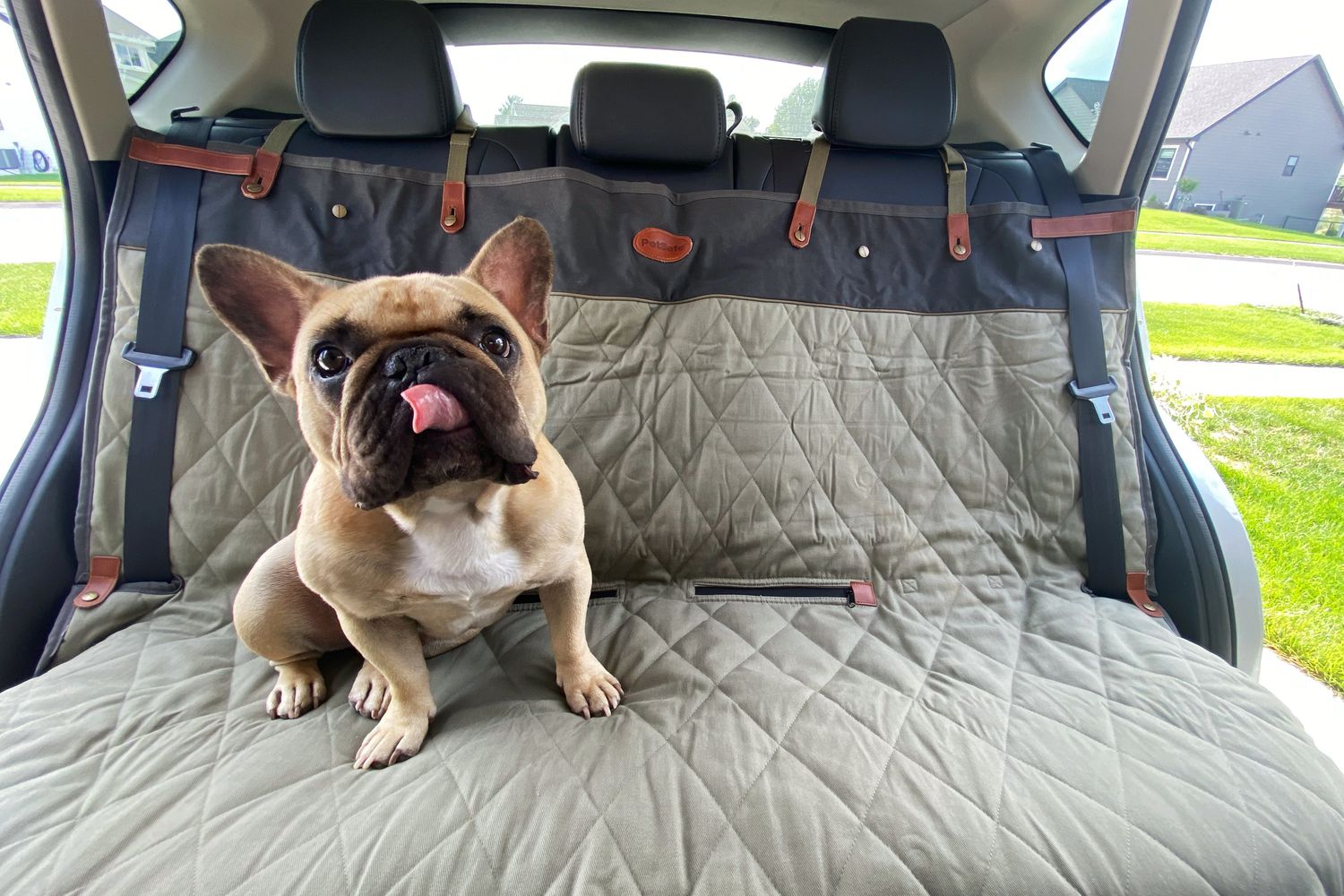 Canine Car Seat Covers: Top Picks for 2025