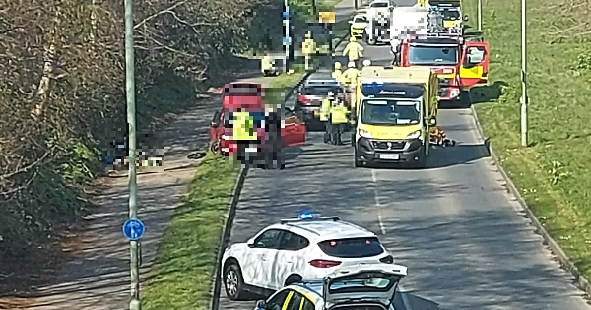 A12 Car Crash Today – Latest Updates & Key Details