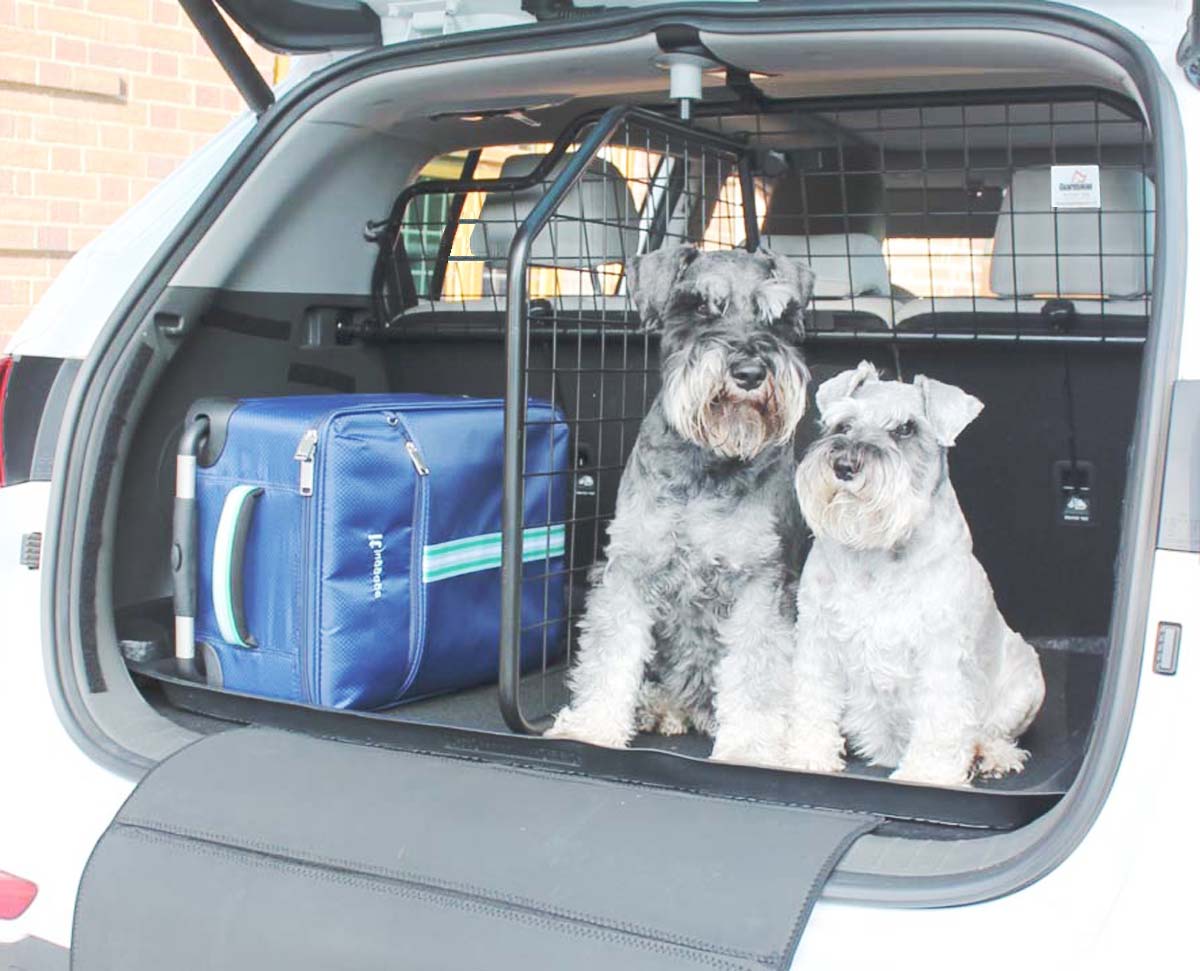Top Dog Guards for Cars: Safe Travel for Your Pet